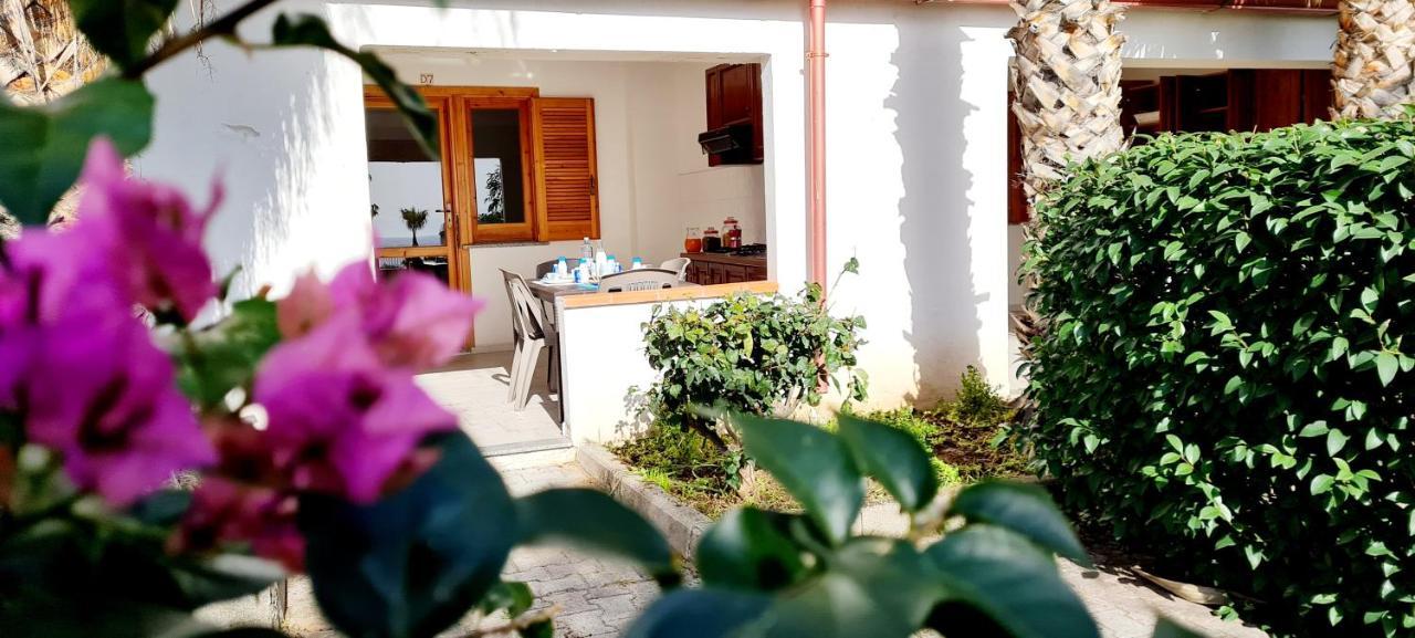 Ninfa Sul Mare Apartments 50 M E T R I Dal Mare Parcheggio Gratuito Custodito กาโปวาติกาโน ภายนอก รูปภาพ