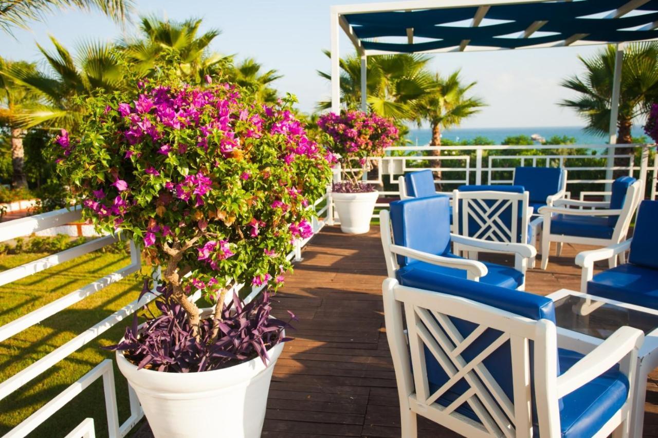 Ninfa Sul Mare Apartments 50 M E T R I Dal Mare Parcheggio Gratuito Custodito กาโปวาติกาโน ภายนอก รูปภาพ